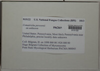 Image Associated With the Occurence